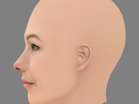 Diane Lane Head - Tanpa Rambut - Kepala poli rendah untuk permainan Model 3D