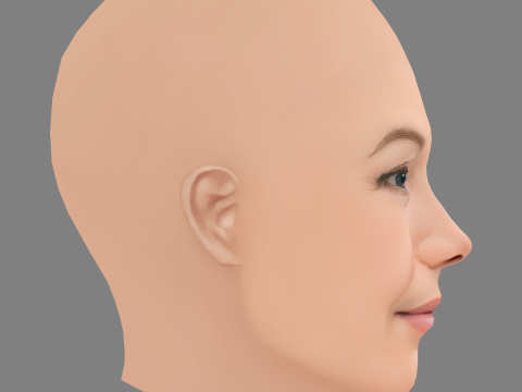 Diane Lane Head - Tanpa Rambut - Kepala poli rendah untuk permainan Model 3D