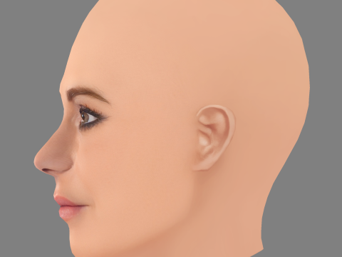 Dorit Kemsley Head - 无头发 - 低聚游戏头 3D 模型