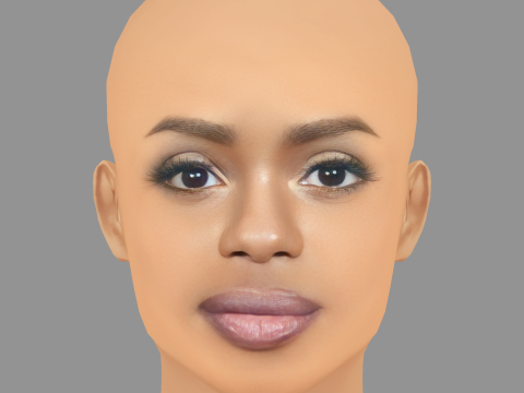 Dreezy Head - No Hair - Low poly head for game 3D Model