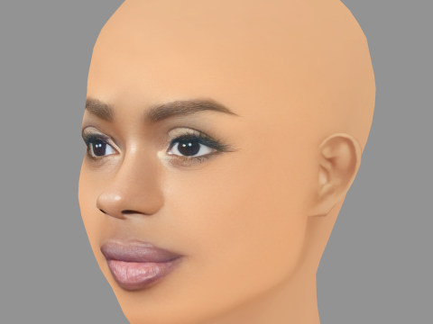Dreezy Head - No Hair - Low poly head for game 3D Model