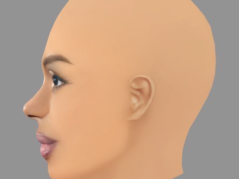 Dreezy Head - No Hair - Low poly head for game 3D Model