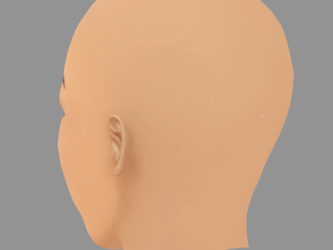 Dreezy Head - No Hair - Low poly head for game 3D Model