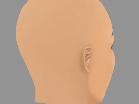 Dreezy Head - No Hair - Low poly head for game 3D Model