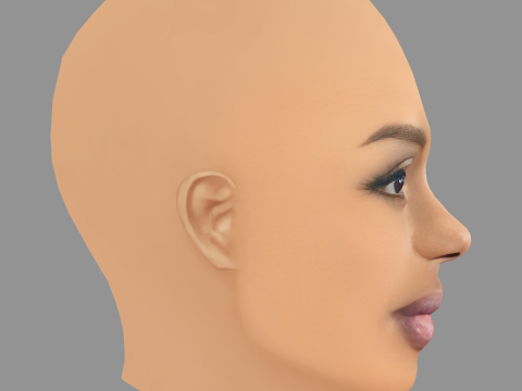 Dreezy Head - No Hair - Low poly head for game 3D Model