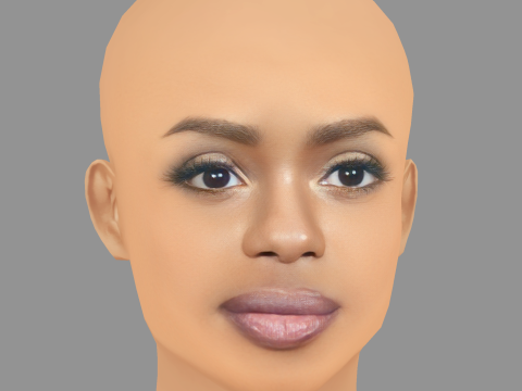 Dreezy Head - No Hair - Low poly head for game 3D Model