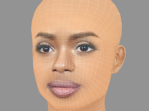 Dreezy Head - No Hair - Low poly head for game 3D Model