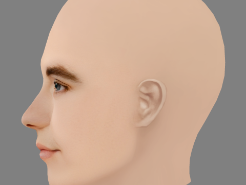 Elizabeth Hurley Head - Sem cabelo - Cabeça baixa poli para jogo Modelo 3D