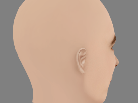 Elizabeth Hurley Head - Sem cabelo - Cabeça baixa poli para jogo Modelo 3D