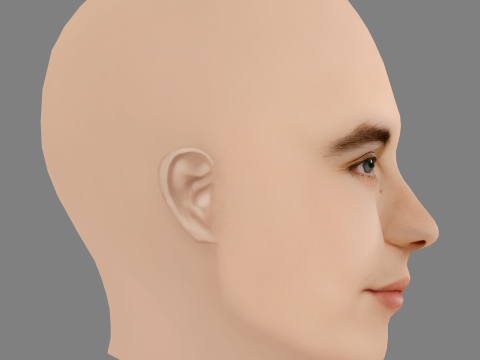 Elizabeth Hurley Head - Sem cabelo - Cabeça baixa poli para jogo Modelo 3D