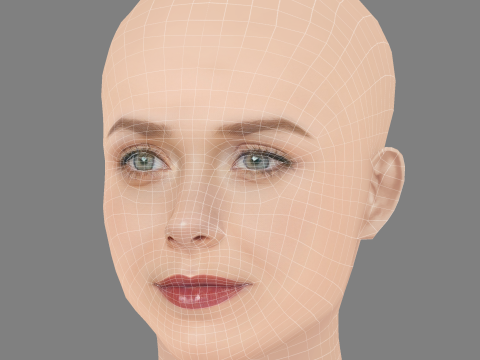 एलिजाबेथ ऑलसेन हेड - नो हेयर - गेम के लिए लो पॉली हेड 3D मॉडल