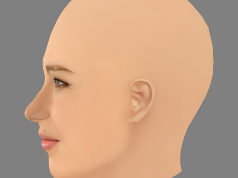 Elsa Pataky Head - No Hair - Laag poly hoofd voor wild 3D Model