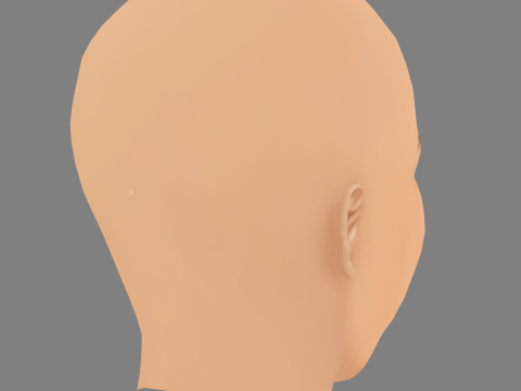 Elsa Pataky Head - No Hair - Laag poly hoofd voor wild 3D Model