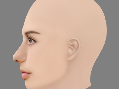 艾玛·洛克哈特头 - 无头发 - 低聚游戏头 3D 模型