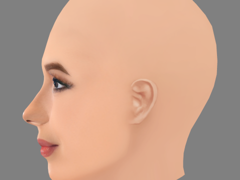 伊娃·朗格利亚头 - 无头发 - 低聚游戏头 3D 模型