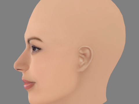 エヴァ・メンデスの頭 - 髪なし - ゲーム用の低ポリ頭 3Dモデル