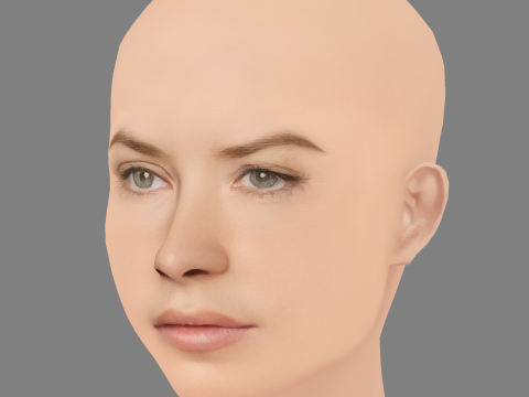 Evangeline Lilly Head - No Hair - Low poly head for game 3D Model