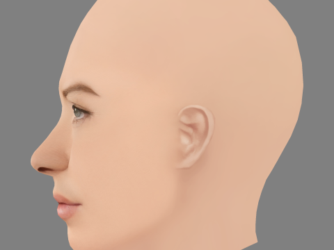 Evangeline Lilly Head - No Hair - Low poly head for game 3D Model