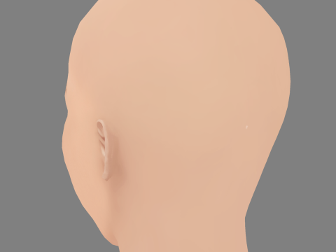 Evangeline Lilly Head - No Hair - Low poly head for game 3D Model