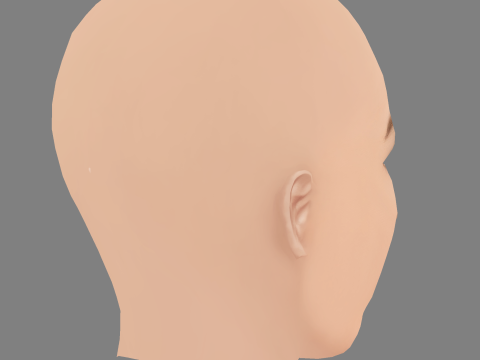 Evangeline Lilly Head - No Hair - Low poly head for game 3D Model