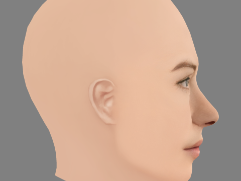Evangeline Lilly Head - No Hair - Low poly head for game 3D Model