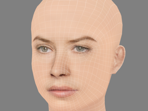 Evangeline Lilly Head - No Hair - Low poly head for game 3D Model