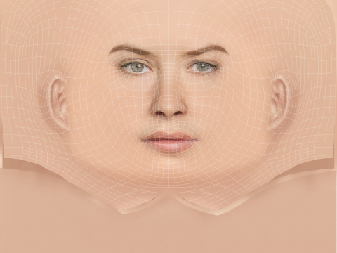 Evangeline Lilly Head - No Hair - Low poly head for game 3D Model