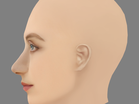 Evanna Lynch Head - No Hair - Tête low poly pour le jeu Modèle 3D