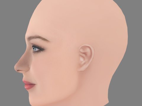 Eve Hewson Kafası - Saçsız - Oyun için düşük poli kafa 3D Model