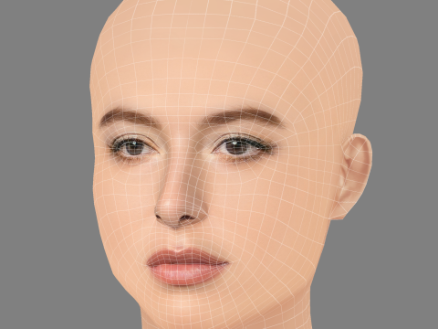 Голова Єви Джобс - без волосся - низькополігональна голова для гри 3D Модель