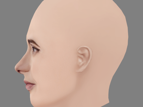 フェルナンダ トーレス ヘッド - 髪なし - ゲーム用の低ポリ頭 3Dモデル