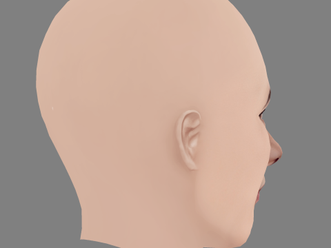フェルナンダ トーレス ヘッド - 髪なし - ゲーム用の低ポリ頭 3Dモデル