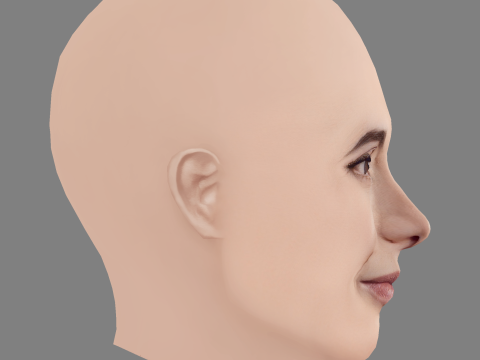 フェルナンダ トーレス ヘッド - 髪なし - ゲーム用の低ポリ頭 3Dモデル