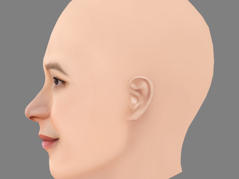 Franka Potente 헤드 - 머리카락 없음 - 게임용 로우 폴리 헤드 3D 모델