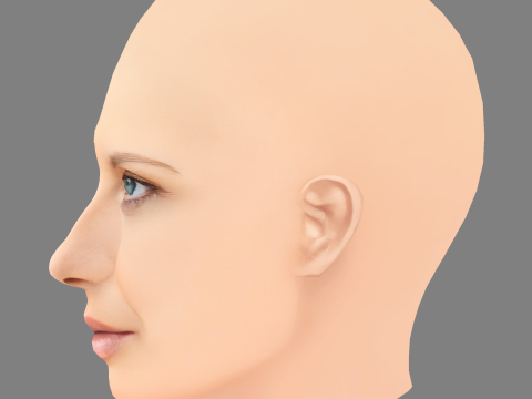 Геббі Вест Голова - Без волосся - Низькополігональна голова для гри 3D Модель