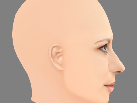 Геббі Вест Голова - Без волосся - Низькополігональна голова для гри 3D Модель