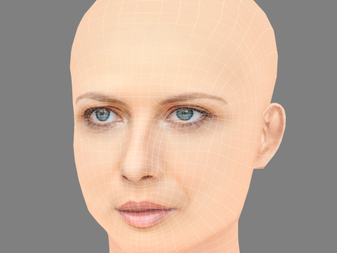 Геббі Вест Голова - Без волосся - Низькополігональна голова для гри 3D Модель