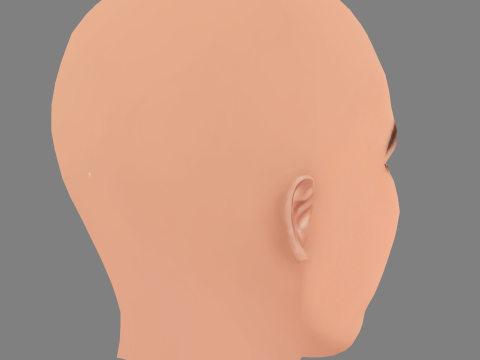 Georgia Fowler Head - 无头发 - 低聚游戏头 3D 模型