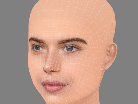 Georgia Fowler Head - 无头发 - 低聚游戏头 3D 模型