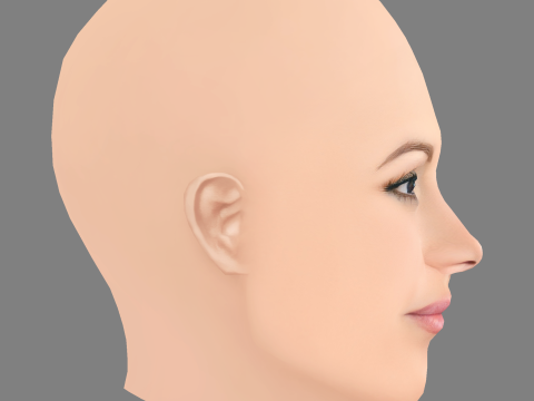 Gina Carano Head - Tanpa Rambut - Kepala poli rendah untuk permainan Model 3D