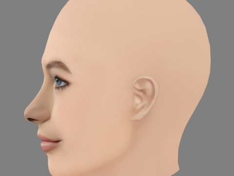 Grace Burns Head - No Hair - Low poly head for game 3D Model