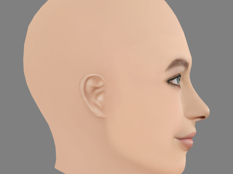 Grace Burns Head - No Hair - Low poly head for game 3D Model
