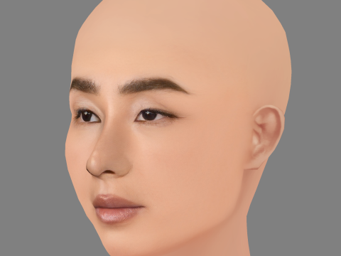 Голова Грети Лі - без волосся - низькополігональна голова для гри 3D Модель