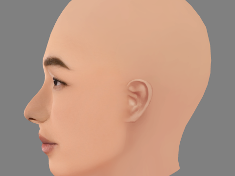 Голова Грети Лі - без волосся - низькополігональна голова для гри 3D Модель