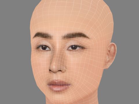 Голова Грети Лі - без волосся - низькополігональна голова для гри 3D Модель