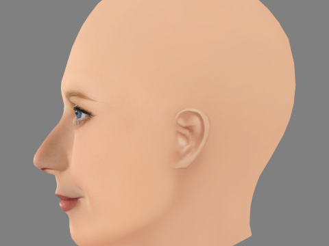 Gwyneth Paltrow Head - No Hair - Low poly head for game 3D Model