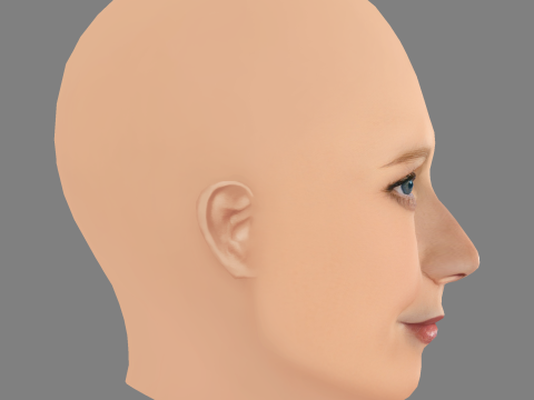 Gwyneth Paltrow Head - No Hair - Low poly head for game 3D Model