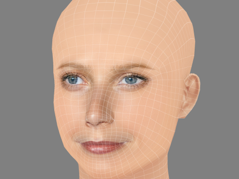 Gwyneth Paltrow Head - No Hair - Low poly head for game 3D Model