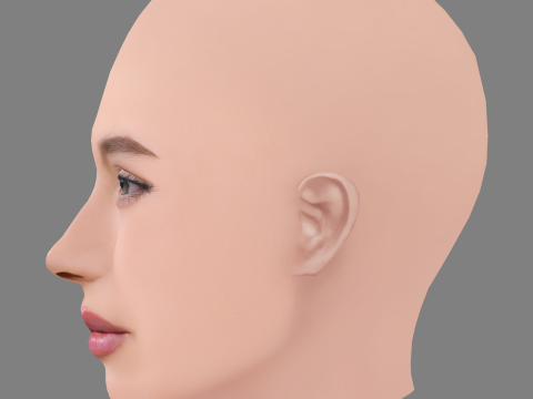 Cabeza de Hailey Bieber - Sin pelo - Cabeza de baja poli para juego Modelo 3D