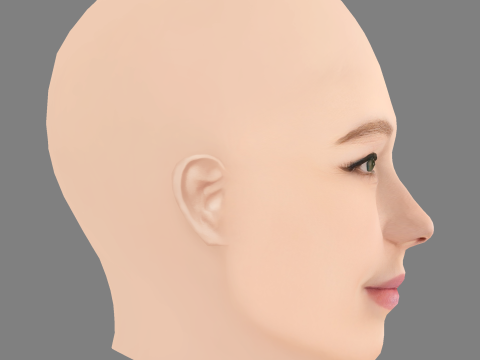 Haley Bennett Head - No Hair - Low poly head for game 3D Model